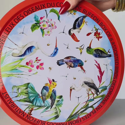 Au Bain Marie Bracquemond Tin Plates | French Country Decor | BuDhaGirl